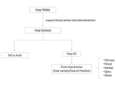 Hop Extracts