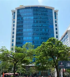 Head Office